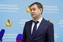 Бюджет Воронежской области на 2024 год представлен на нулевое чтение