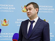 Бюджет Воронежской области на 2024 год представлен на нулевое чтение