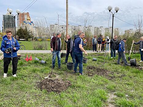День Древонасаждения: в ростовском парке &laquo;Дружба&raquo; донские парламентарии высадили деревья и кустарники
