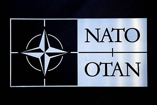 Несколько стран присоединятся к инициативе НАТО