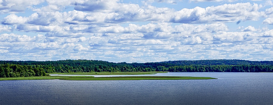 В этом городе родились замечательный актер и лучший в стране пряник
