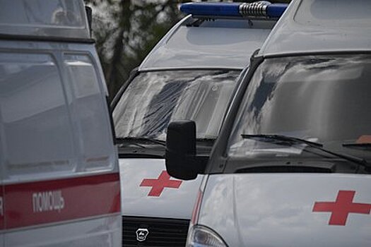 Россиянин избил водителя скорой помощи из-за семечек