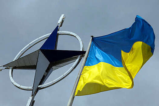 Экс-посол Тейлор: Киеву без НАТО придется отказаться от территорий