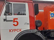 В Курской области водитель «Лады» врезался в дерево