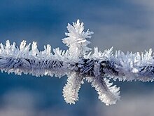 Заснеженный Хабаровск восхитил пользователей соцсетей