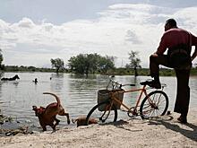 Остановись мгновенье. Как сделать необычные фотографии в поездке