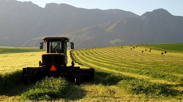 Количество рабочих мест в сельском хозяйстве ЮАР за 13 лет выросло на 50%
