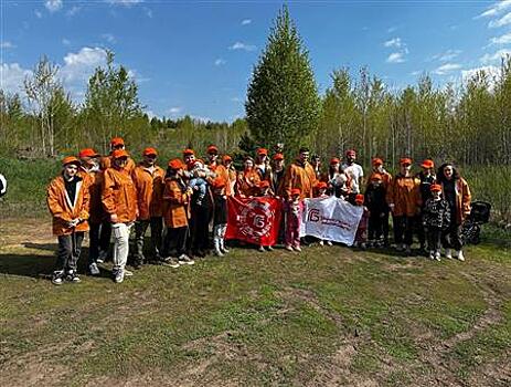 4600 саженцев сосны высадили сотрудники компании "Транспорт будущего"
