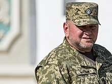 Депутат ГД Хамитов оценил западную реакцию на интервью Залужного о "тупике на фронте"