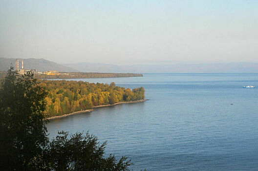 Сплошных рубок на Байкале не будет