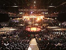 Как стать чемпионом UFC