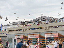 Ночной гастрофест, фестиваль мороженого и не только: дирекция парков поделилась планами на лето