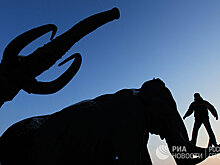 Helsingin Sanomat (Финляндия): бивни мамонта — сокровище вечной мерзлоты северной Сибири