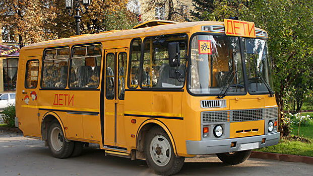 На обновление школьных автобусов в Оренбуржье направят более 90 млн рублей