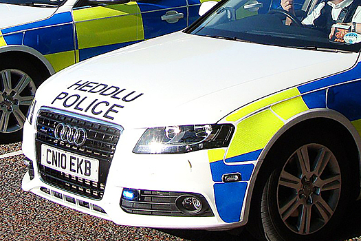 Подростку предъявлено обвинение в убийстве после смерти 17-летней девушки