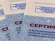 В Волгограде будут судить врача за торговлю прививочными сертификатами