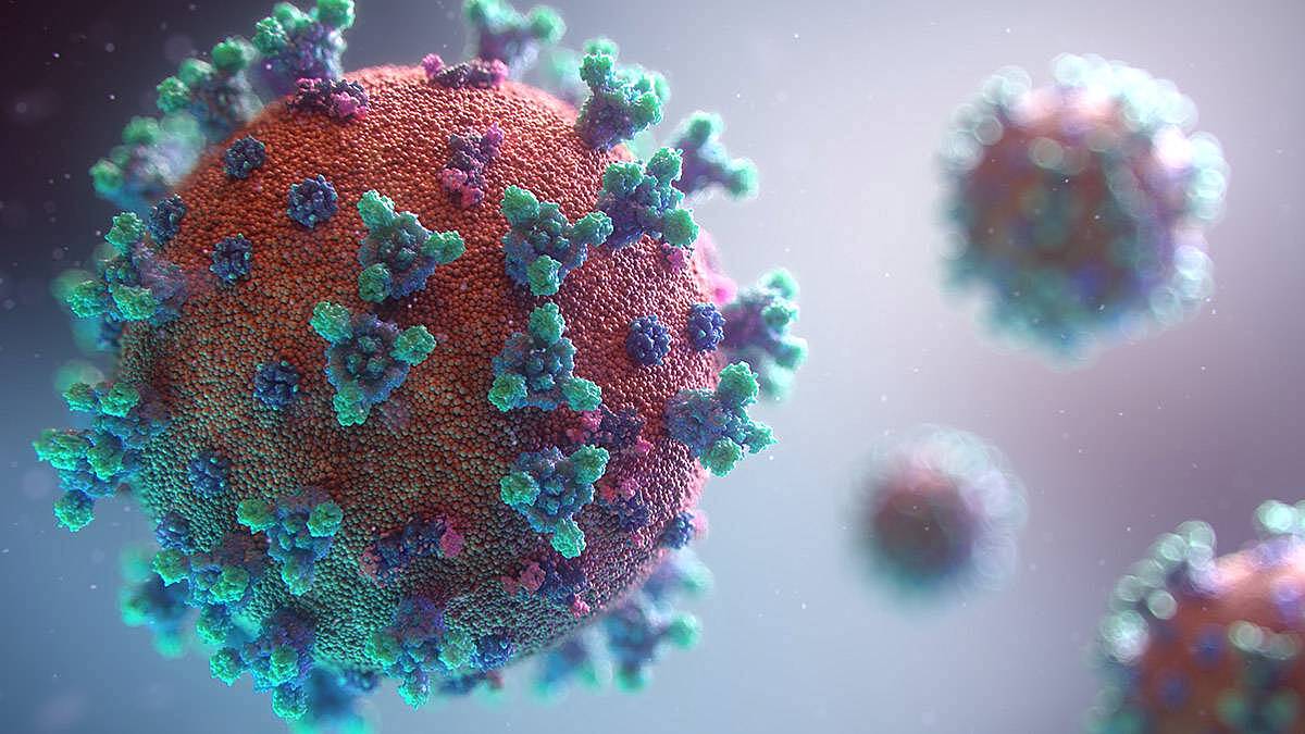 Иммунолог Болибок рассказал, когда коронавирус станет сезонным ОРВИ