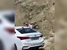 В Дагестане пристыдили туристов за оральный секс в горах