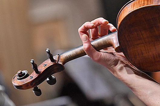 Разрешение на вывоз скрипки Страдивари предлагают выдавать через электронный кабинет эксперта