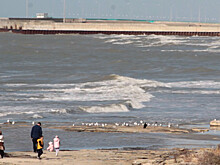 На мели: уровень воды в Каспийском море опустился на 1,4 метра