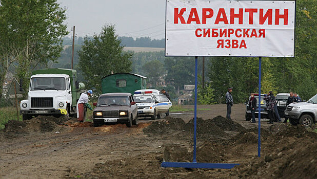 В Забайкалье проведут вакцинации против сибирской язвы