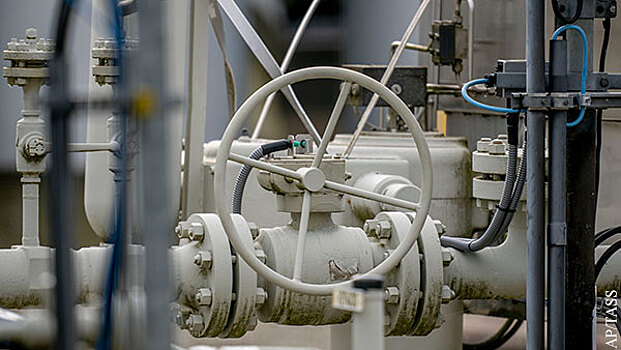 В Австрии заявили о невозможности ввести эмбарго на газ из России