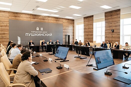 Глава городского округа Пушкинский Максим Красноцветов принял участие в семинаре с депутатами Совета депутатов округа