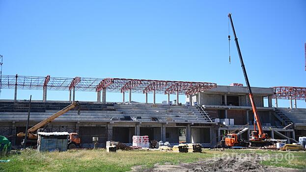 Почти четверть суммы на модернизацию стадиона «Витязь» будет выделена из федерального бюджета