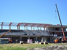 Почти четверть суммы на модернизацию стадиона «Витязь» будет выделена из федерального бюджета