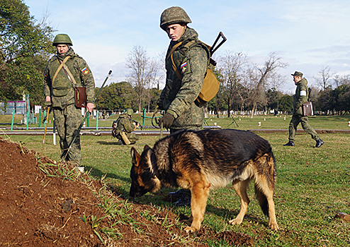 Сапёры российской военной базы в Абхазии отработали поиск и уничтожение ВОП с применением минно-розыскных собак