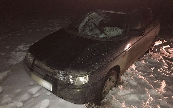 Пьяный шиловец на ВАЗ-2110 насмерть сбил пенсионерку и скрылся