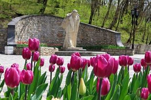 В Железноводске появятся около 90 тыс. тюльпанов будущей весной