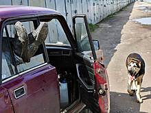 Московские автовладельцы пытаются отстоять права на хранение машин