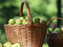 Перечислены регионы, где стоит отпраздновать Яблочный Спас