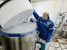 COVID-19 подстегнул интерес к крионизации: среди заморозивших тело есть один татарстанец