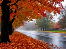 Синоптик Тишковец предупредил москвичей об ухудшении погоды