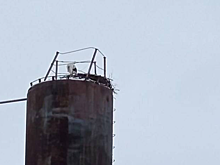 Аист-любимец местных жителей и туристов вновь вернулся в Перевоз