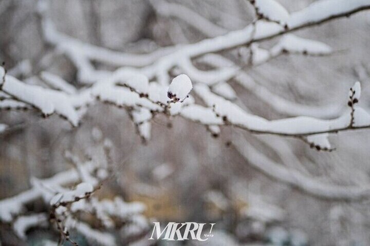 Жители района в Дагестане попали в изоляцию из-за снежного шторма