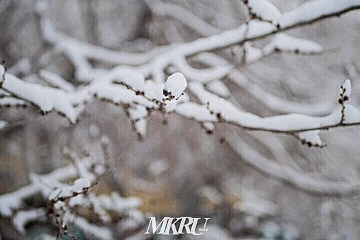 Жители района в Дагестане попали в изоляцию из-за снежного шторма