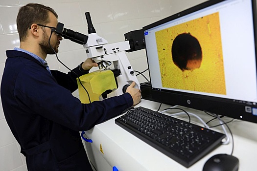 Переработка полимеров внутри страны может принести в бюджет 140 миллиардов