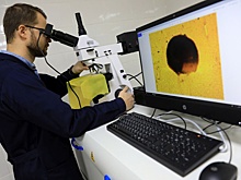 Переработка полимеров внутри страны может принести в бюджет 140 миллиардов