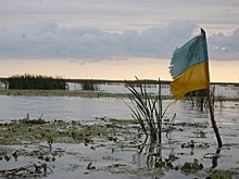 Эксперт назвал «пустым делом» украинский ров на границе для российских войск