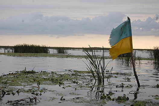 В Украине планируют принять закон, позволяющий призывать резервистов за сутки