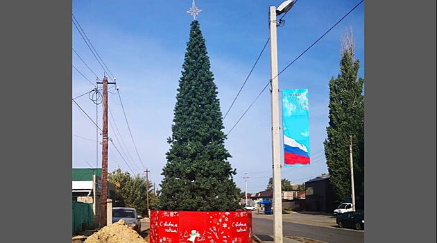 Гнать этот проклятый год: В Волгоградской области установили новогоднюю ёлку