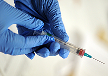Ученые доказали эффективность вакцин с помощью поисковиков