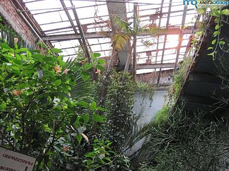 Оранжерея казанского зооботсада временно закрыта