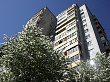 Спорный домофон
