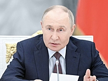 Путин скептично оценил функцию предложения руки и сердца через «Госуслуги»
