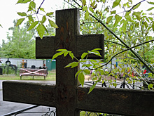 "Хотели посмотреть, что будет": двое детей растерзали малыша под Курганом