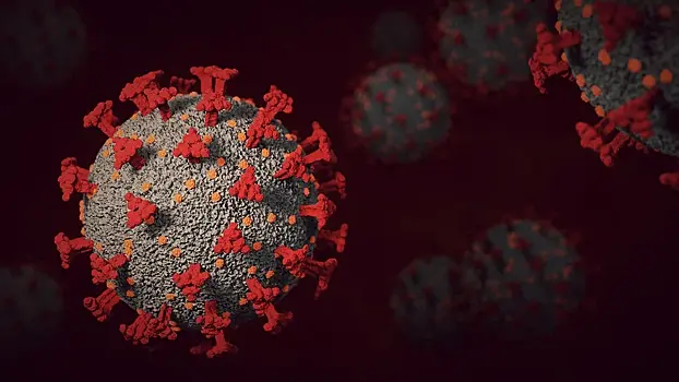 Ученые выяснили, чем можно заболеть после коронавируса